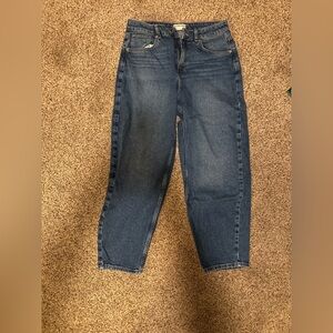Free People Barrel Jeans Size 30
